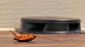 Look no further than pct! Frontline Pest Control Review 2021 This Old House