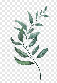 Watercolor Painting Drawing Leaf Printmaking Watercolor Leaves Green Leafed Plant Free Png Leaf Drawing Watercolor Flowers Paintings Leaf Illustration