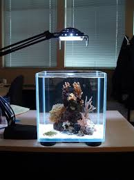 Designer Houses For Sale In South Africa Aquarium Design Mini Aquarium Aquarium Decorations