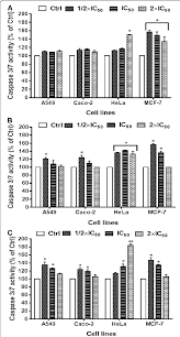 Image result for Croton pseudopulchellus