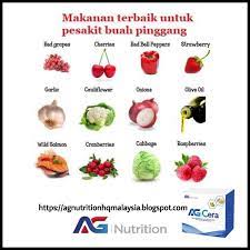 Check spelling or type a new query. Agcera Supplemen Anti Oksidan Terbaik Di Dunia Buah Pinggang