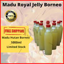 Habitat lebah ini ialah bersarang di tempat yang tinggi. Ready Stock Madu Borneo Royal Jelly Original 1000ml Royal Jelly Honey Shopee Malaysia