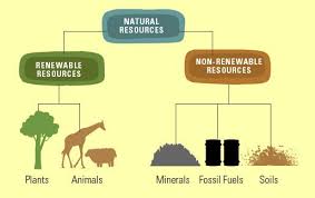 Picture Types Of Natural Resources Natural Resources Nonrenewable Resources