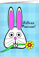 If you want to know how to say easter in spanish, you will find the translation here. Spanish Easter Cards From Greeting Card Universe