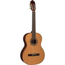 Takamine Pro Series 7 Nex Cutaway Acoustic Electric Guitar Pin On Guitar