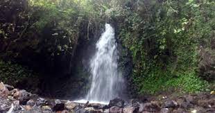Maybe you would like to learn more about one of these? Curug Citiis Pesona Wisata Di Kaki Galunggung Yang Penuh Mistis Tempat Me