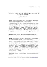 Image result for Cienfuegosia hildebrandtii