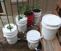 How To Build A 5 Gallon Self Wicking Tomato Watering Container Watering Tomatoes Tomato Planter Self Watering Planter