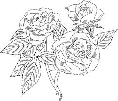 Print now roses, tulips, buttercup, dahlias, sunflowers, and many other marvelous species. Hard Rose Coloring Pages Flower Coloring Pages Rose Coloring Pages Coloring Pages For Grown Ups