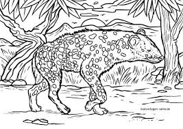 We did not find results for: Malvorlage Hyane Tiere Kostenlose Ausmalbilder