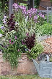 Container Gardens You Ll Love Container Gardening Dry Garden Container Plants