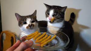 For the perfect sweet and salty flavour, hungry punters are mixing fries with a maccy d's dessert. Will My Cats Eat French Fries Youtube