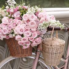 27 barnard st, andover, ma 01810, usa. 150 Flowers By Les Fleurs Other Goodies From Our Little Shop In Andover Ma Ideas Le Fleur Flowers Floral Flowers