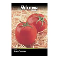 SEMENTES DE HORTALICAS FELTRIN- TOMATE SANTA CRUZ