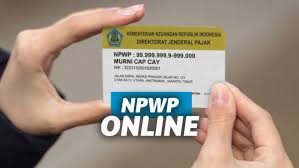 Cara Daftar Npwp Online Mudah Bagi Pemula