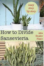 Stacey Benally-Vicenti (sbvicenti)