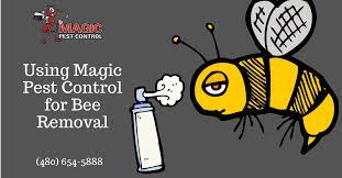 Alexander termite and pest control company are absolutely fabulous! Using Magic Pest Control For Bee Removal