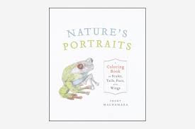 Print or download colorful frog. 9 Best Adult Coloring Books Inspired By Our Favorite Cities Hotels And More Conde Nast Traveler