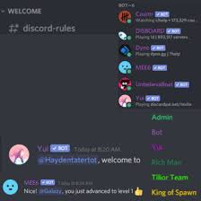 All disboard provides is a starting point for developers to work from and bring their idea to life. Make You A Sleek Discord Server In Under 48 Hours By Gameroutine Fiverr