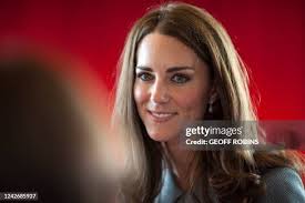 127 Kate Robins Stock Photos, High-Res Pictures, and Images