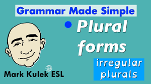 Irregular Plural And Singular Nouns Mark Kulek Esl Youtube