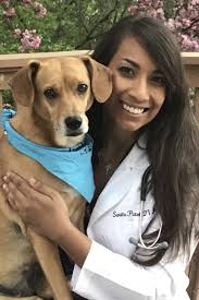 About Our Veterinary Hospital in Maplewood