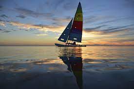 easy cruising hobie cat vinyl art paint sailing cool pictures