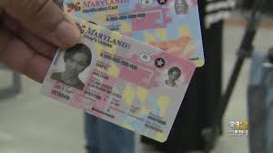 The maryland motor vehicle administration will verify. 66 300 Marylanders Could Lose Their Driver S Licenses In As Real Id Deadline Fast Approaches
