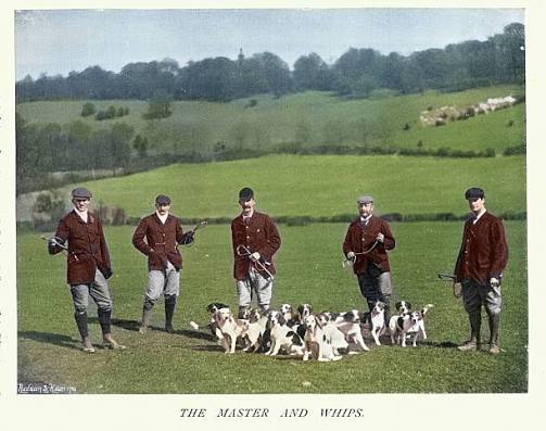 360+ Victorian Fox Hunting Illustrations - iStock