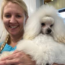 Profile for Top Dog Ni