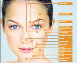 Acne Breakout Face Chart Www Bedowntowndaytona Com