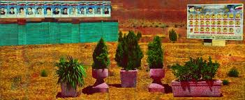 Bildergebnis für NATARAJ SHARMA