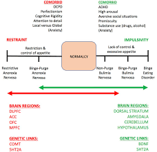 Want to discover art related to comorbidities? Frontiers The Role Of Working Memory For Cognitive Control In Anorexia Nervosa Versus Substance Use Disorder Psychology