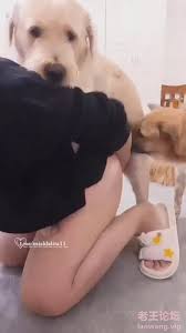 稀有》虎牙妹儿曾用名糖宝和毛孩子一女大战20只狗[35-650MB] | 精选Porn