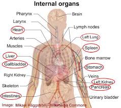 In light of this, your recent medical history. Pain On Left Side Causes Treatments And When To See A Doctor