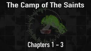 Résultat de recherche d'images pour "camp of the saints"