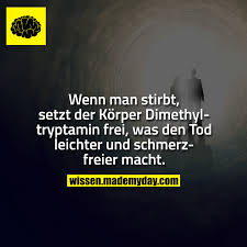 Oder können wir noch etwas fühlen und wahrnehmen? Wenn Man Stirbt Setzt Der Made My Day