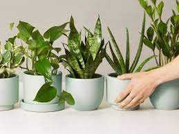 Most gifts for couples feature customization options. The Best Gifts For Couples They Re Both Sure To Love Real Simple