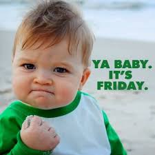 Focus on expressing your plans through friday memes? Cute Friday Animal Meme Segerios Com