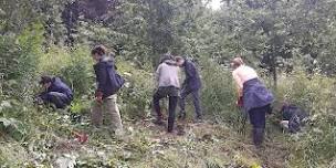 Youth Rangers at Crickley Hill