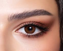 Image result for Contact Lens