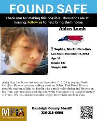 Cooke Rd escaped lamb, last seen near Flat Rock Church