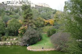 Zoo chat (search for elephants+jerusalem zoo (tisch family zoological gardens)). Israel Jerusalem The Tisch Family Zoological Gardens Jerusalem Biblical Zoo In December Mapio Net