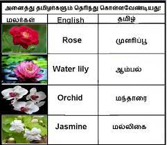 Pin By Honest Alexander On Tamil Collection Tamil Language Language Quotes Photo Album Quote