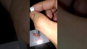 Cara mengetahui batu berkhodam dengan mudah versi kang masrukhan · pertama, anda cukup memegang batu mustika yang ingin anda periksa kekuatan . Cara Mengetes Batu Berkhodam Rokok Bisa Bergerak Sendiri Youtube