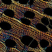 Maybe you would like to learn more about one of these? Charcoal Wikipedia