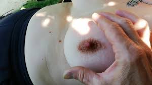 Der Kuh Die Euter Melken