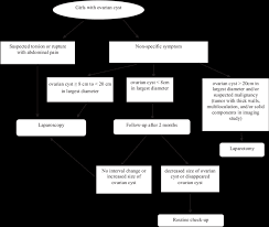 flow chart for triage protocol shows triage for young