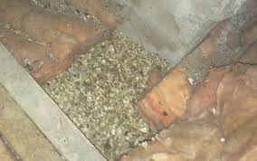 It could be purchased locally and could be installed by contractor or homeowner. Cost Of Vermiculite Testing For Asbestos In Canada Lcs Laboratory Inc