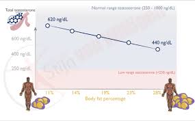 Reduce your body fat by performing in intense anaerobic workouts such as boxing The Ideal Body Fat Percentage To Bulk